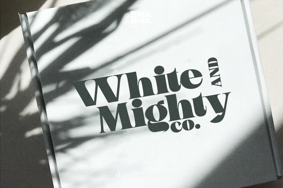 Bold serif font for high fashion magazine cover layout