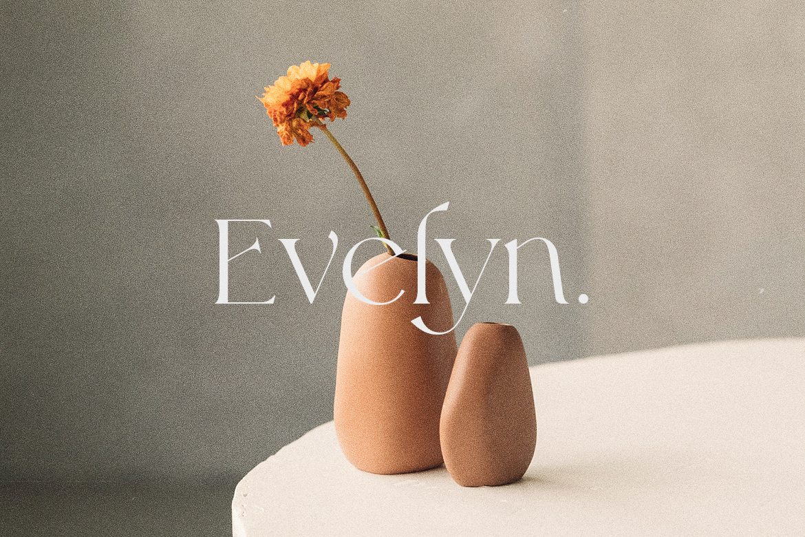 Modern serif font for professional corporate branding identity